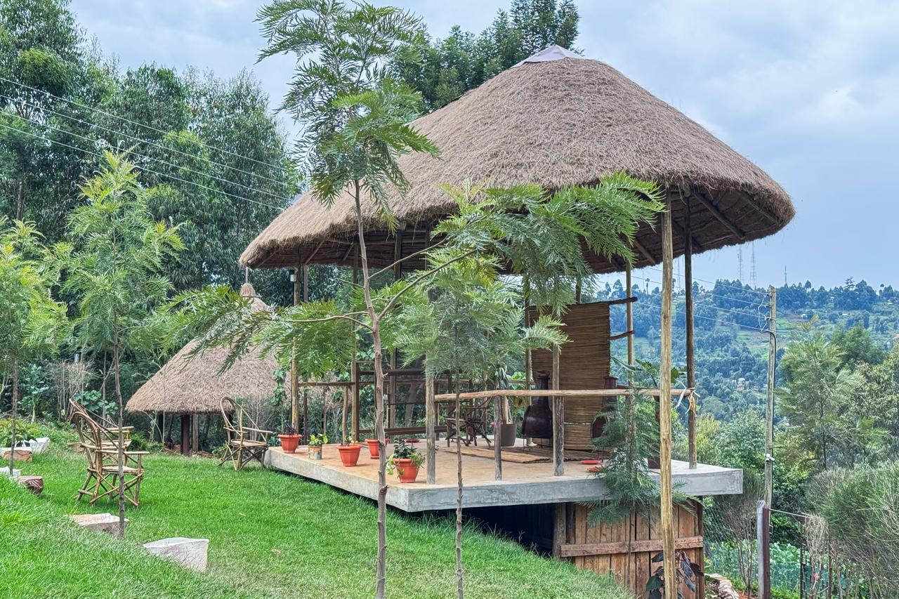 Thatched lounge